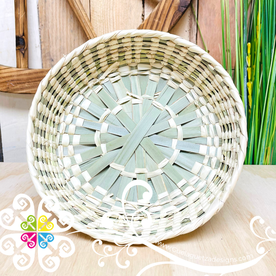 Palm Tortillero no Lid