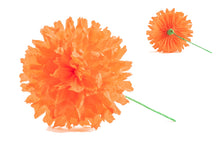 Set of Orange  Cempasuchil -  Flor de Dia de Muertos