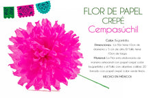 Set of Fuchsia Cempasuchil -  Flor de Dia de Muertos