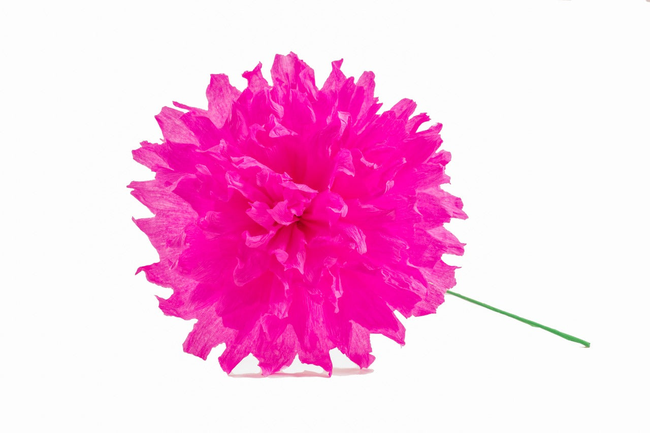 Set of Fuchsia Cempasuchil - Flor de Dia de Muertos