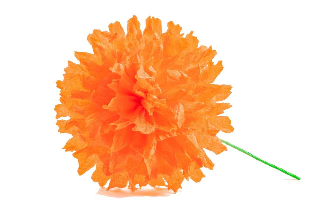 Set of Orange Cempasuchil - Flor de Dia de Muertos