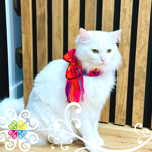 Large Pet Cambray Scarf - Pet Accessories