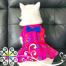 Cat Cambray Dress
