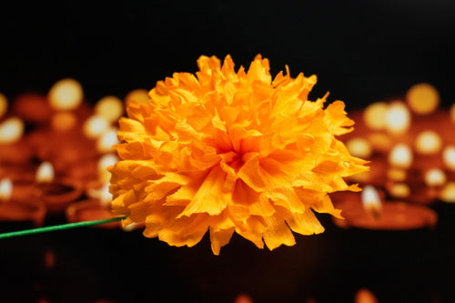 Set of Yellow Cempasuchil -  Flor de Dia de Muertos