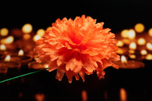 Set of Orange  Cempasuchil -  Flor de Dia de Muertos